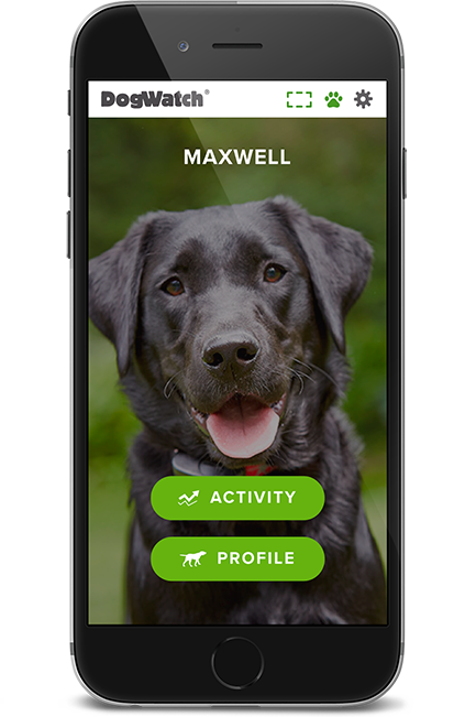 DogWatch of Puget Sound, Monroe, Washington | SmartFence WebApp Image