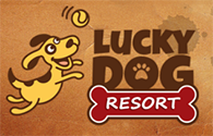 Lucky Dog Resort