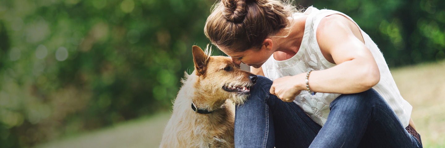 DogWatch of Puget Sound, Monroe, Washington | BarkCollar No-Bark Trainer Slider Image