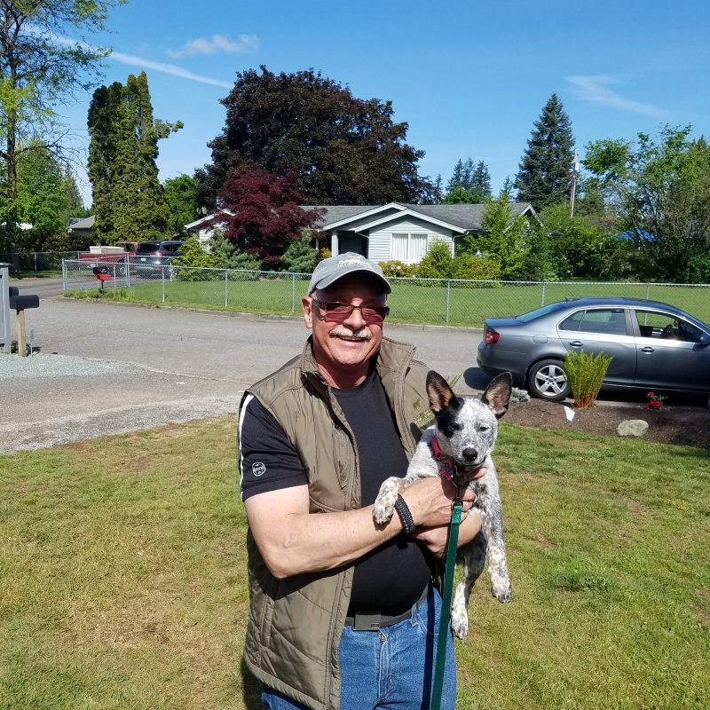 DogWatch of Puget Sound, Monroe, Washington | Photo Gallery  Image