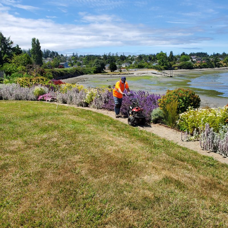 DogWatch of Puget Sound, Monroe, Washington | Photo Gallery  Image