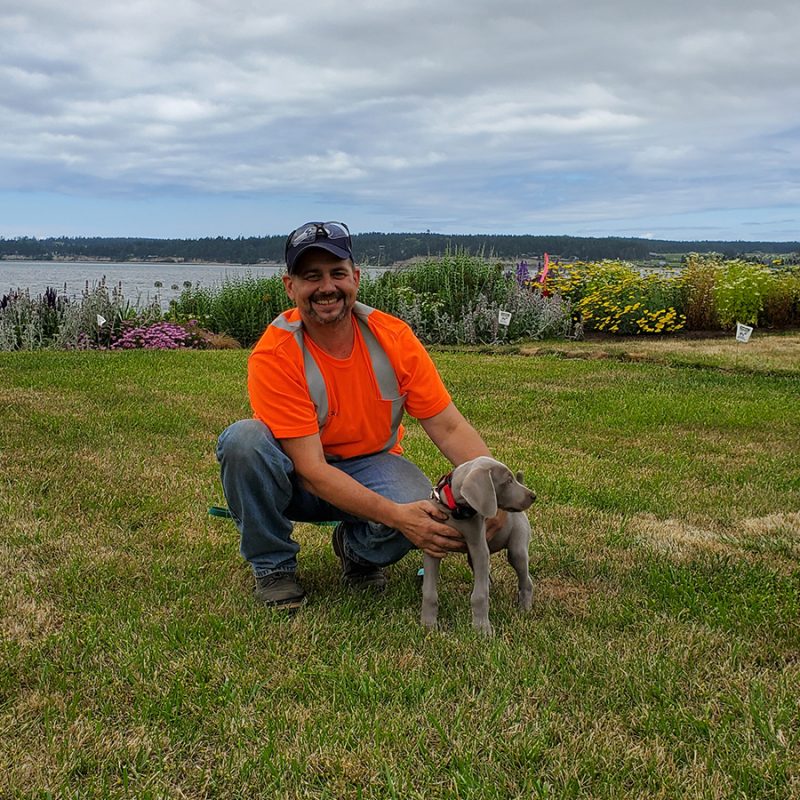 DogWatch of Puget Sound, Monroe, Washington | Photo Gallery  Image