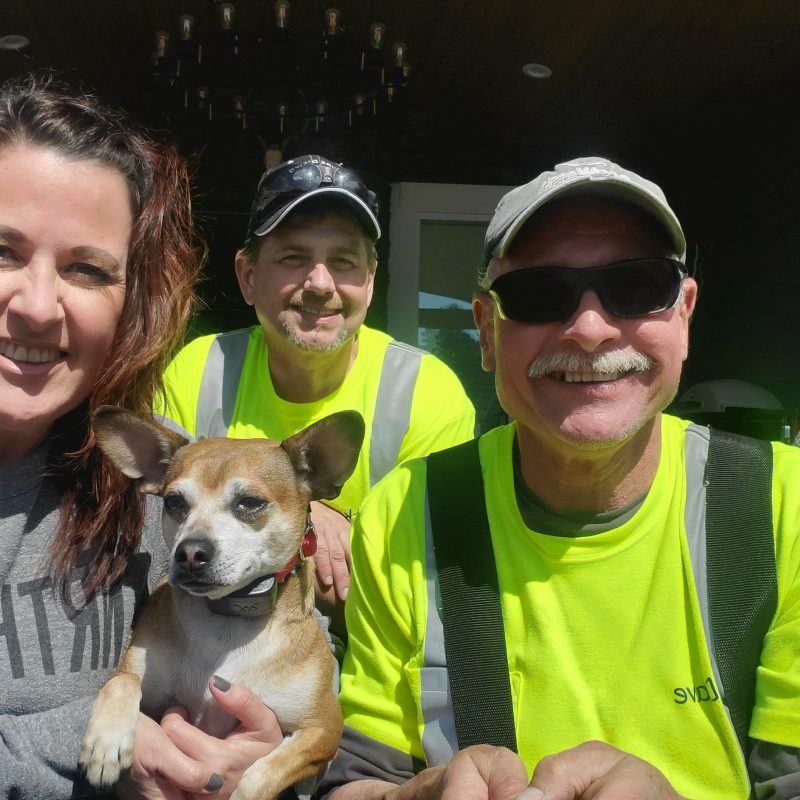 DogWatch of Puget Sound, Monroe, Washington | Photo Gallery  Image